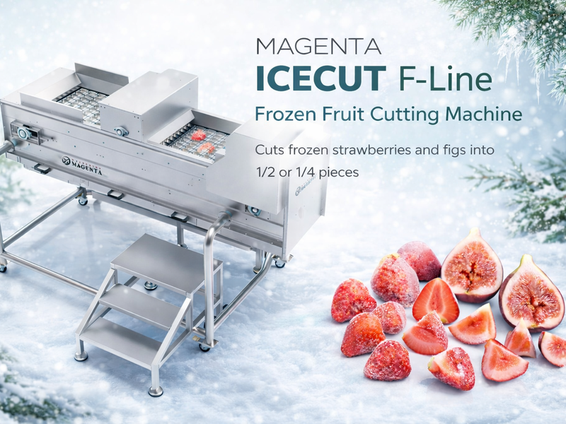 ICECUT F-Line Donuk Meyve Kesme Makinesi